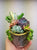 Succulent Gift Arrangement