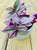 Rare Tradescantia Nanouk Lilac Leaf Plant